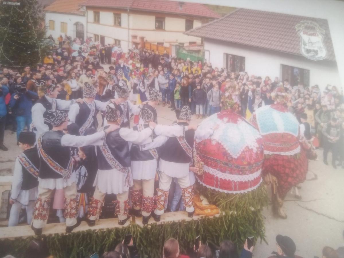 Pensiunea Casa Roman Tălmaciu Esterno foto