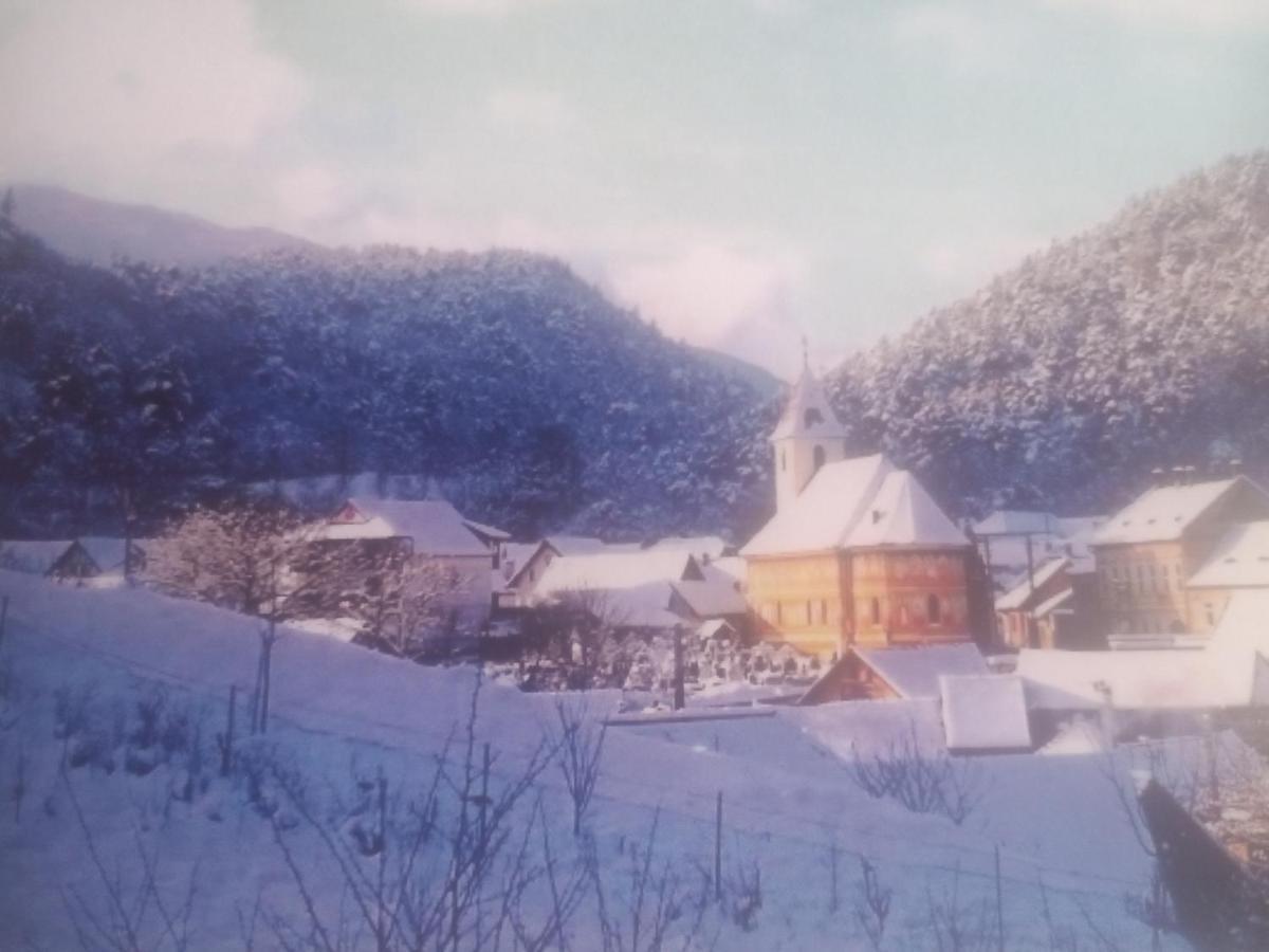 Pensiunea Casa Roman Tălmaciu Esterno foto